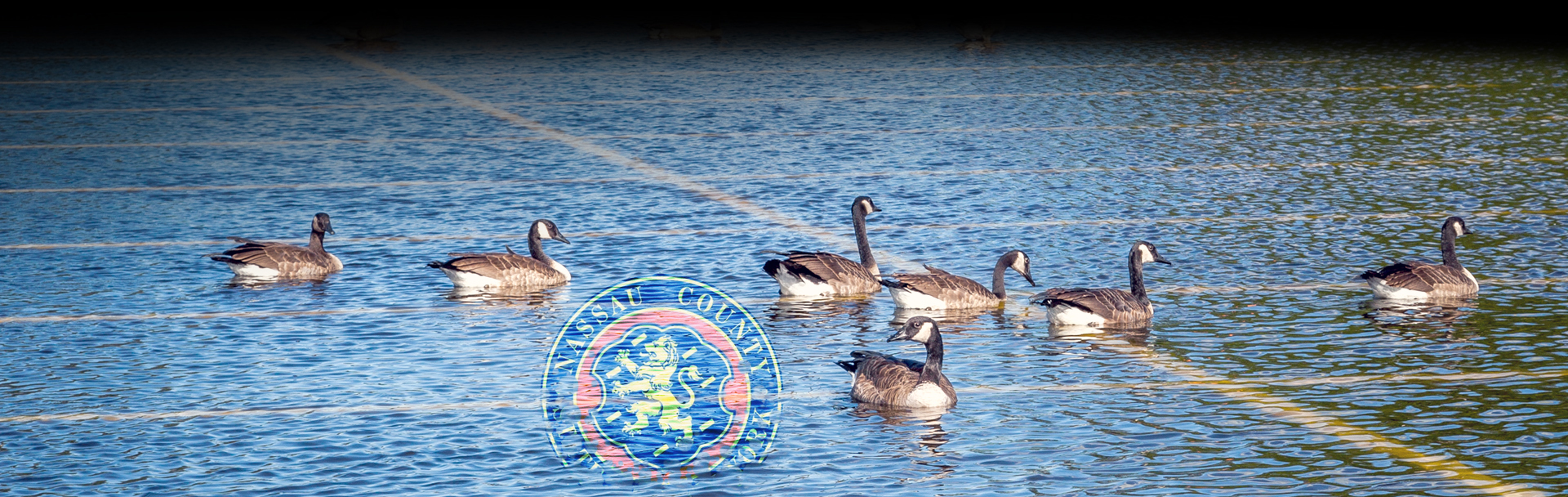 All Storm Drains Inc. | Parking Lot Flood Drainage Service  | Nassau County, Long Island, NY | Phone: 516.825.1010 Fax: 631.475.2898 | George@AllStormDrains.com